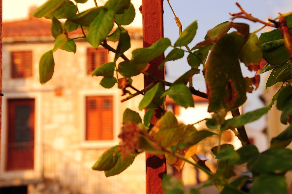 Nebojsega B&B Santa Croce Mare Exterior photo